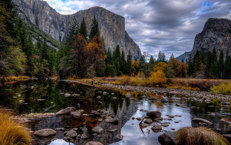 pine trees, 1080P, mountains, nature, river, landscape