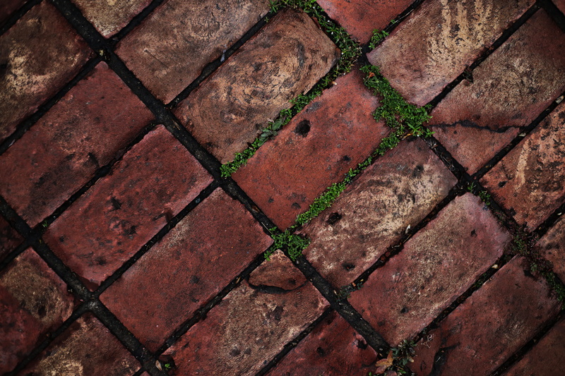 beverage, plant, photo, close-up, alcohol, close, backgrounds, moss, bricks, tiled floor, no people, textured, nature, brown, outdoors, drink, ground, red