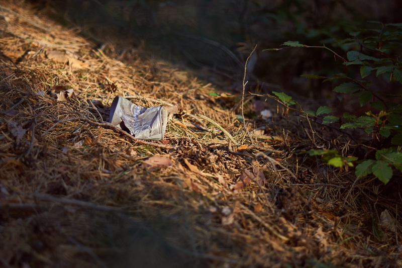 plant part, outdoors, animal, tin can, tree, box, day, land, pollution, disposal, scrap, environment, 5K, grass, paper, forest, field, garbage, no people