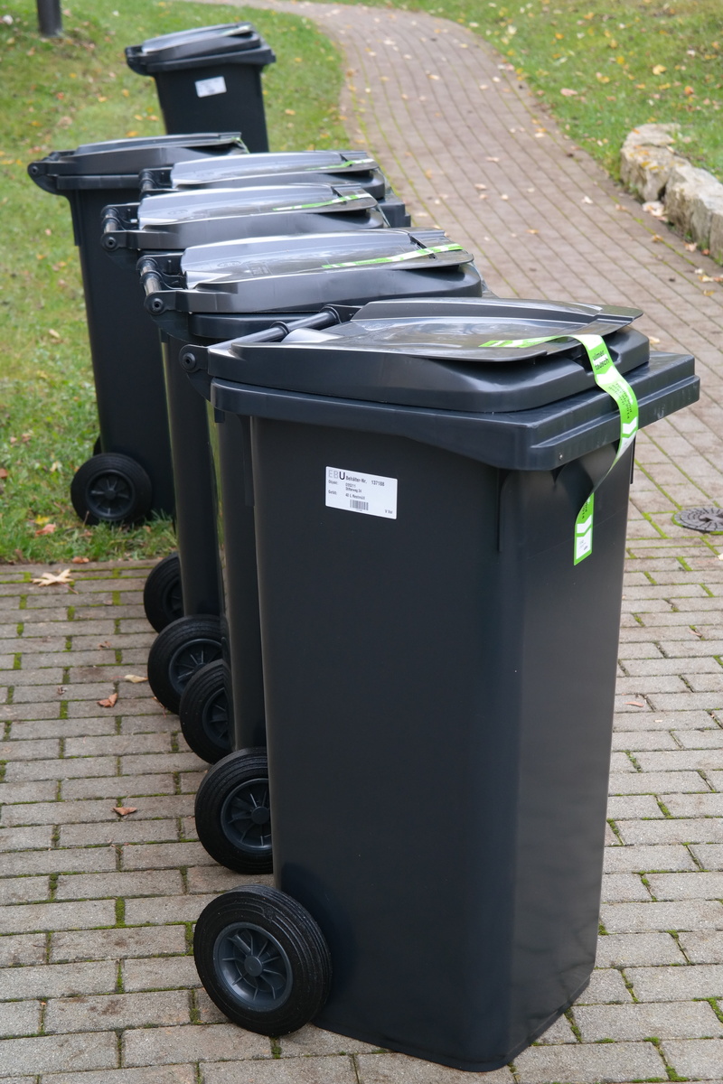 5K, recycling, pathway, stone, footpath, large refuse containers, day, trash can, garbage can, animal, waste container, container, no people, waste, sunlight