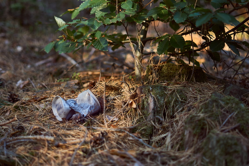 plant part, thrown away, garbage, tin can, scrap, selective focus, waste, forest, growth, field, bird, animal, box, tree, environment, plant, beverage can