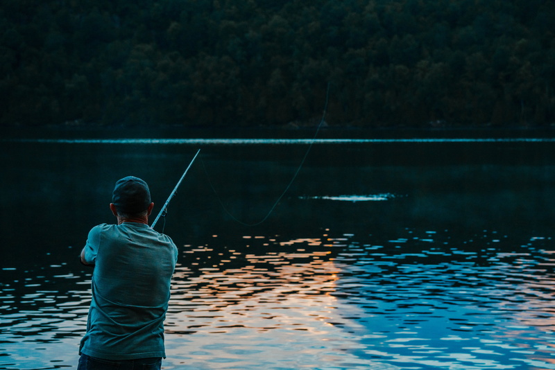 outdoors, rod, lake, nature, activity, real people, Fish, Earth, beauty in nature, Vacation, teenager, scenics - nature, Fishing, men, casts, fisherman