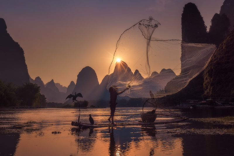 the sun, river, mesh, birds, 1080P, China, fisherman