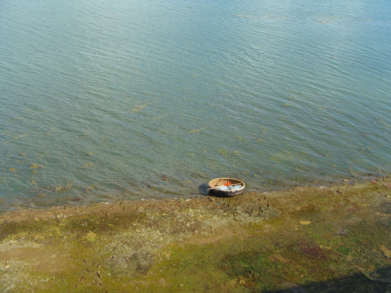 animal themes, india, nature, high angle view, scenics - nature, river, Reservoir, water, krishna, karnataka, backwaters, Coracle, Lake, animals in the wild