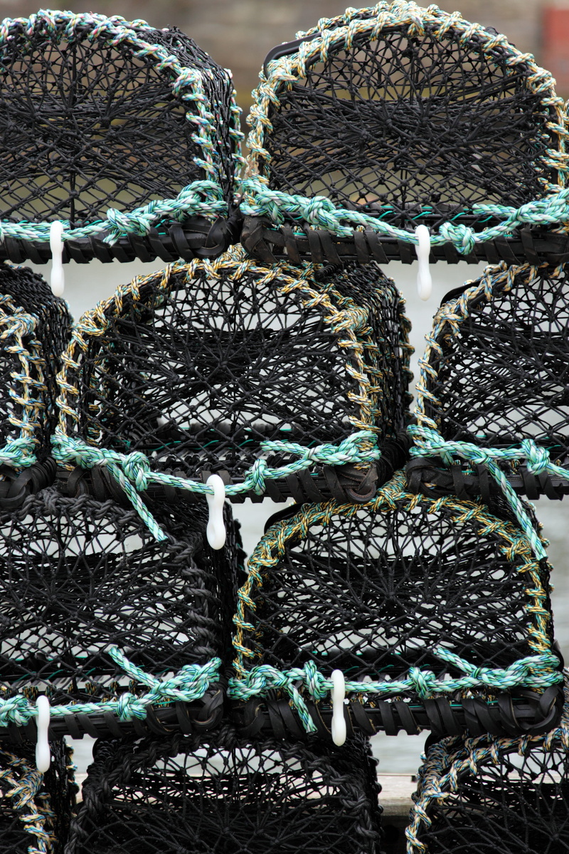 rope, fisherman, food and drink, freshness, pots, lobster, harbor, creativity, pile, green color, full frame, industry, no people, still life, indoors