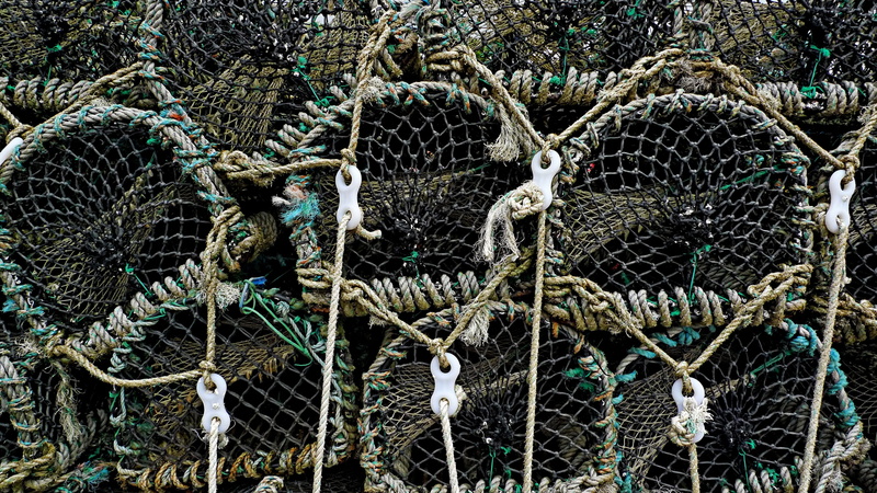 backgrounds, arrangement, metal, fishing industry, equipment, net, fish, nature, mesh, lashing, lashed, seafood, full frame, outdoors, day, lobster, stack
