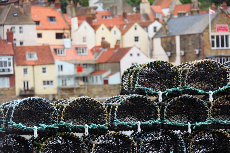flower, Equipment, industry, no people, large group of objects, food and drink, focus on foreground, trap, stack, pot, fishing, city, building exterior