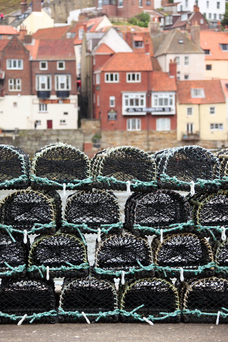 lobster, marine, fisherman, building, building exterior, mesh, fish, 4K, basket, city, freshness, architecture, focus on foreground, residential district