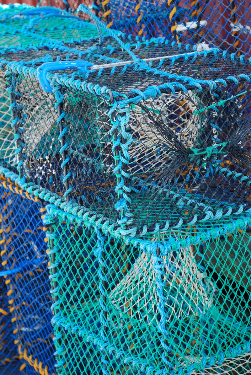 tangled, pattern, high angle view, full frame, color, close-up, backgrounds, textured, blue, rope, cages, fishing industry, netting, wire mesh, outdoors