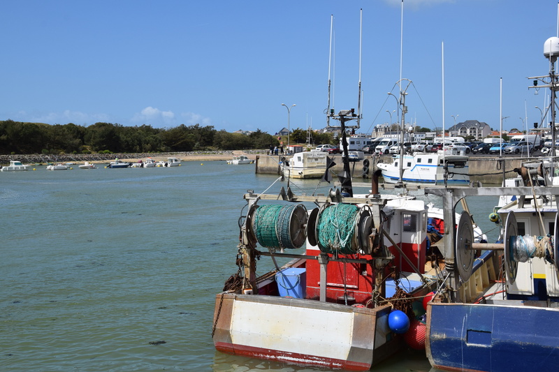 fishing boat, sea, trawler, float, rope, sunlight, anchored, port, france, sailboat, fisherman, waterfront, land, beach, mode of transportation, fish, node