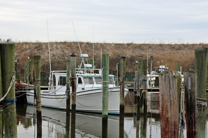 dock, architecture, waterfront, pictures of fishing boats, pier, transportation, deep sea fishing boats, pleasant, day, post, offshore fishing boats, inshore fishing boats