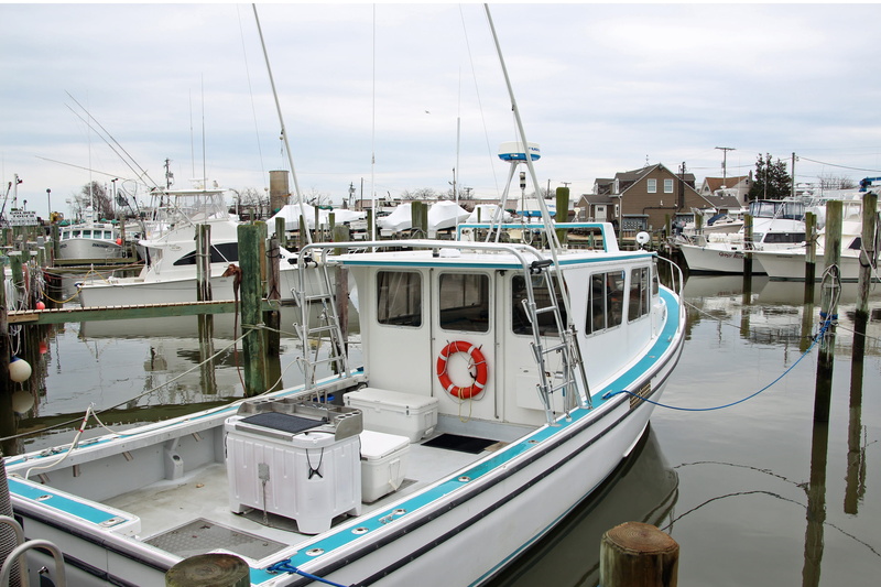 small fishing boat, mode of transportation, built structure, commercial fishing boat, harbor, nature, boat, small, pleasant, new, party boat fishing, day