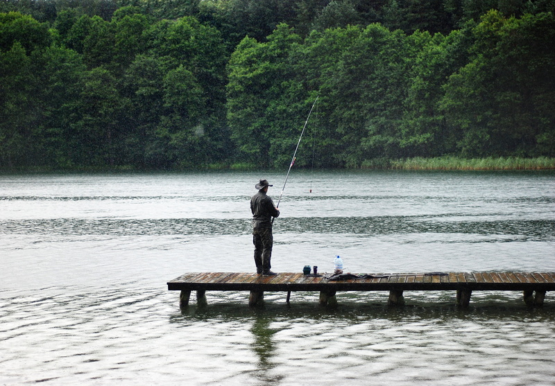 catching, leisure activity, hunting, catch, man, tree, dock, real people, tranquility, freshwater Fishing, plant, rod, water, standing, rain, fishing Tackle