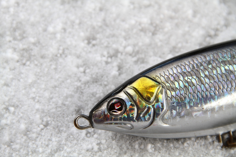freshness, eye, raw food, food and drink, finland, close-up, snow, lure, fishing hook, sebile, seafood, no people, fishing, fishing industry, catch of fish