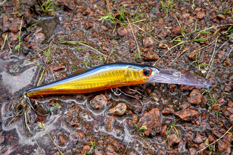 plant part, plant, yellow, fish, vertebrate, hooks, 5K, close-up, fishing, animal wildlife, wobbler, high angle view, animal themes, fishing lures, animal body part