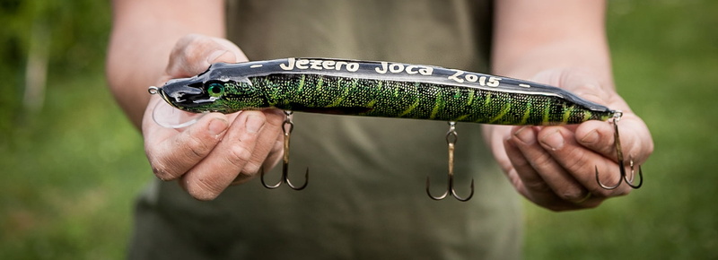 vertebrate, midsection, fishing lure, fisher men, fish, angling, one person, holding, fisherman, human body part, activity, joca lake, hand, adult, focus on foreground