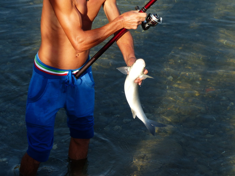 leisure activity, keep, men, fishing industry, vertebrate, prey, underwater, human, caught, fish, fins, fischer, fishing line, fishhook, person, fishing reel