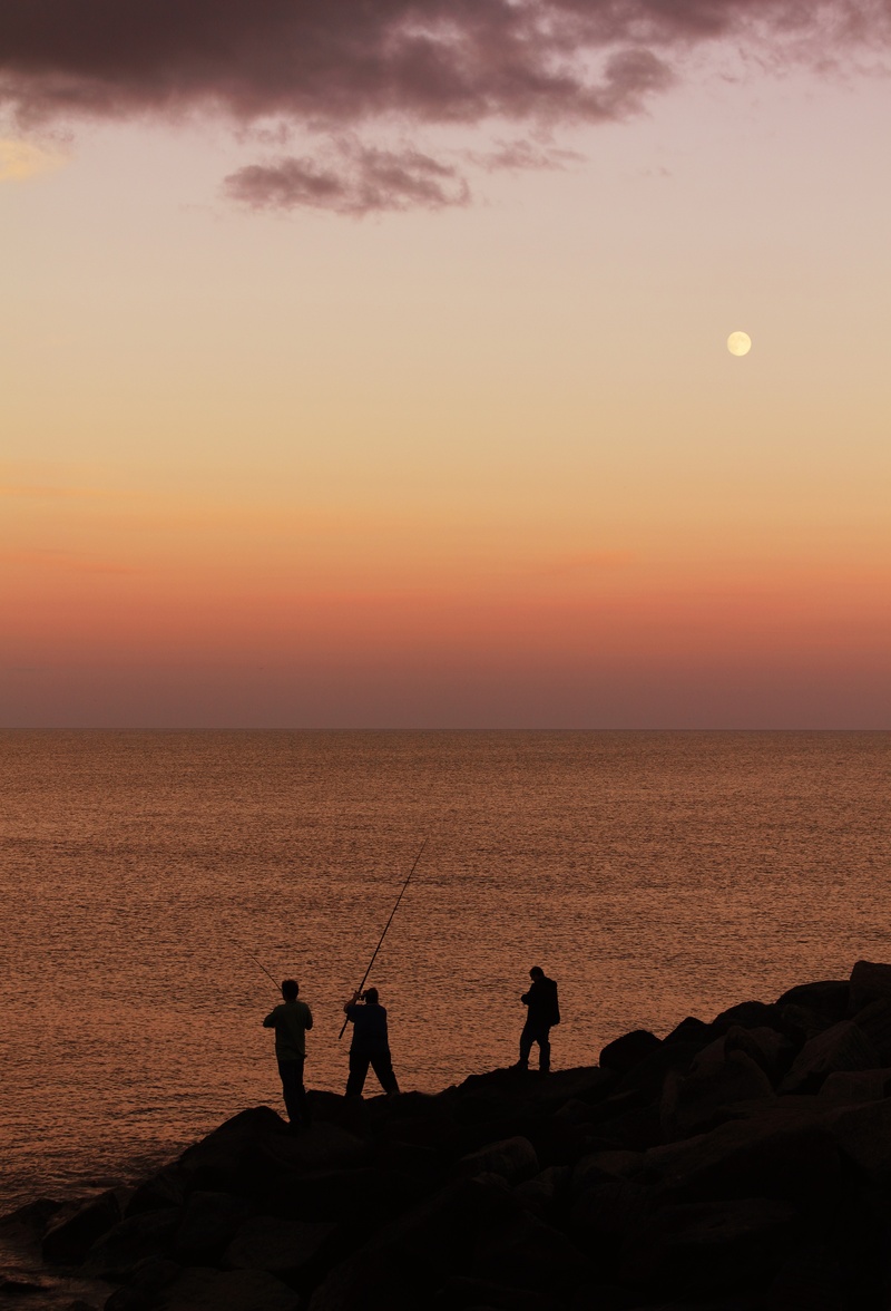 casting, sunrise, people, angler, summer, horizon over water, hobby, hook, travel, beauty in nature, golden, tranquility, fun, 4K, lifestyles, rod, man