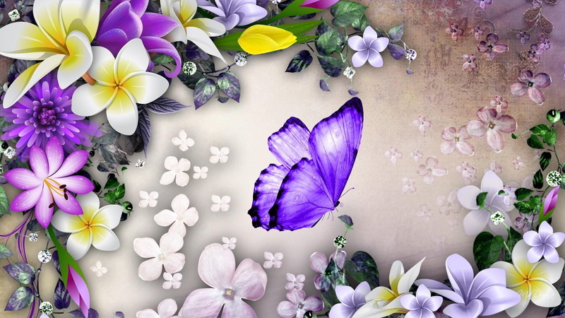plant, fragility, freshness, directly above, petal, bouquet, indoors, knolling - concept, beauty in nature, arrangement, high angle view, luxury, no people