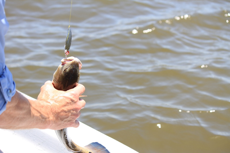 lure, real people, male, fish, focus on foreground, hand, one person, spinning, line, bait, summer, angler, recreation, sport, outdoors, hobby, Fisherman