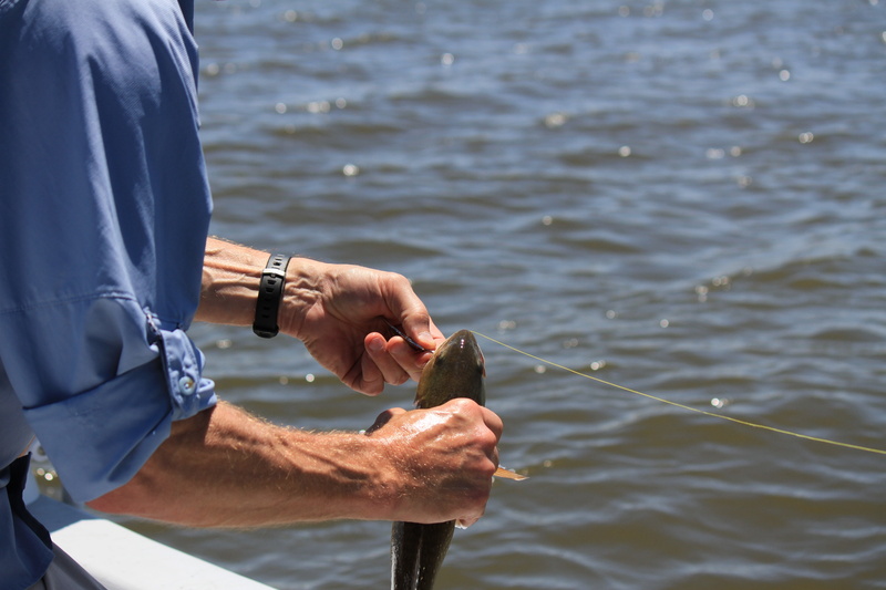 leisure activity, fisherman, line, man, focus on foreground, outdoors, male, day, real people, angler, recreation, blue sky, hobby, rod, activity, summer
