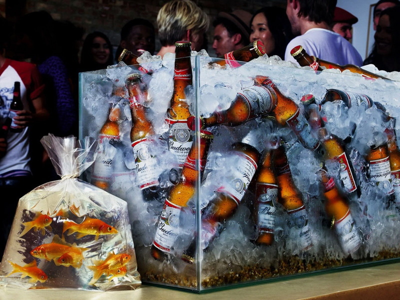 fish, animals, party, beers, x, art, ice, 720P, hd