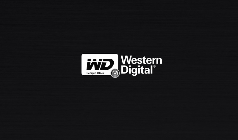 black background, cut out, 2K, white color, western script, digital, western, download, download Wallpapers for desktop, background, scorpio black