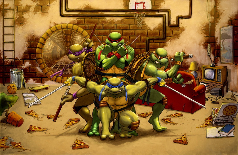 ninja turtles, fighter, swords, turtles, warriors, ninja, nunchakus, cartoons, 720P