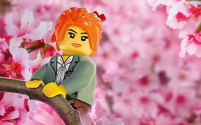 The LEGO Ninjago Movie, 4K, 4k, Misako