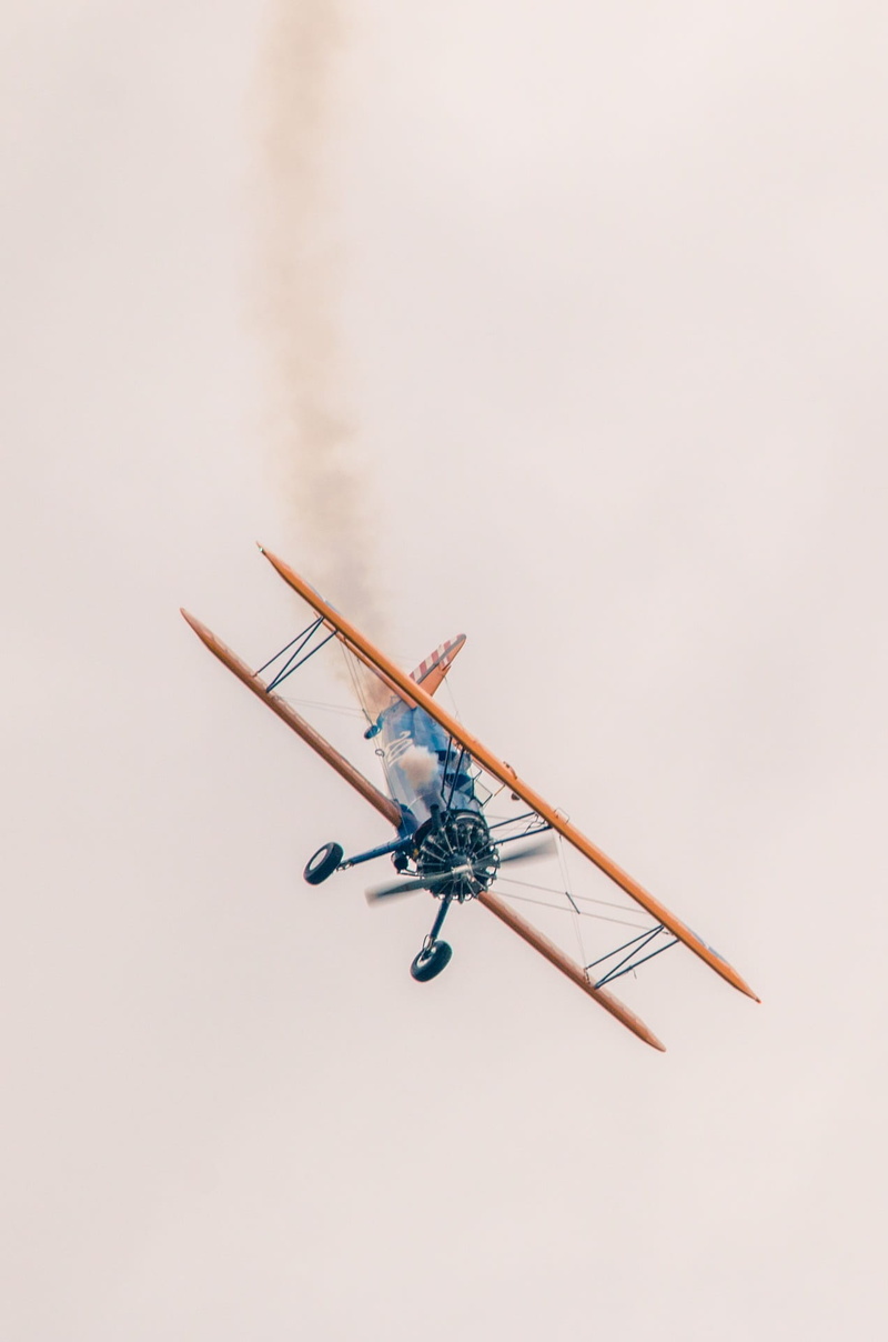 history, boeing stearman pt-13d, fly, vintage aircraft, animal wildlife, nature, indoors, flugshow, zoology, studio shot, animal themes, arthropod, invertebrate
