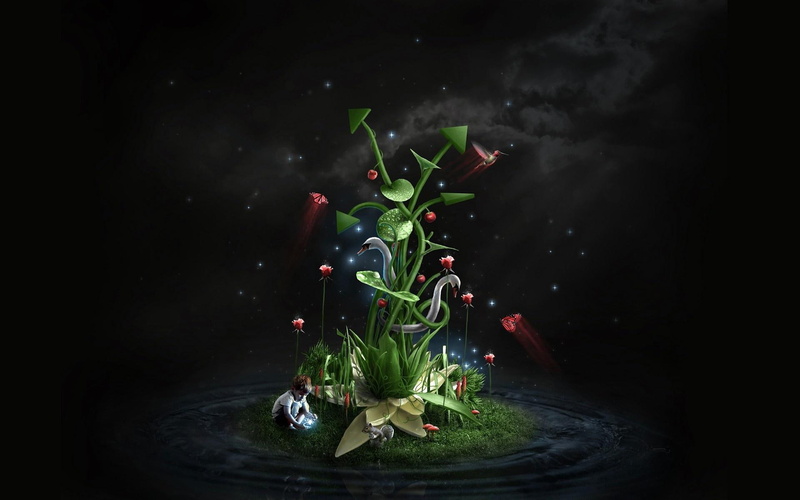 mushrooms, butterflies, 3d and abstract, fantasy, humming bird, 1080P, life, stars, plants, duck