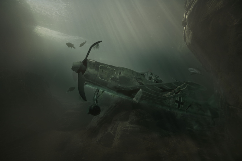 one person, dent, lake, underwater, hole, undersea, no people, exploration, green, fish, sea life, water, bi, accident, reef, plane, adventure, animal wildlife