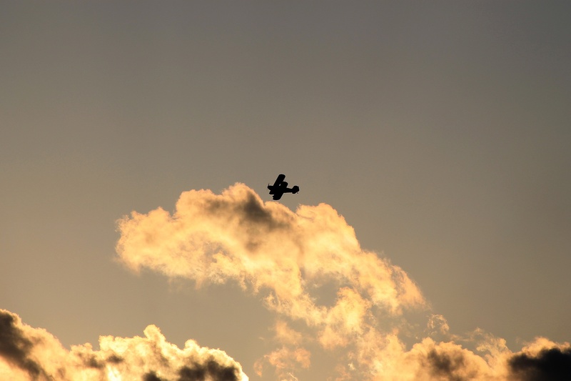 beauty in nature, one animal, outdoors, fly, sunset, plane, aerial, race, 1080P, cloud - sky, nature, animals in the wild, bird, day, motion, biplane
