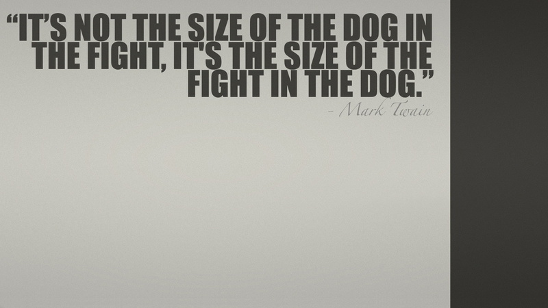 1080P, 1920x1080, fight, dog, mark twain, typography, quote