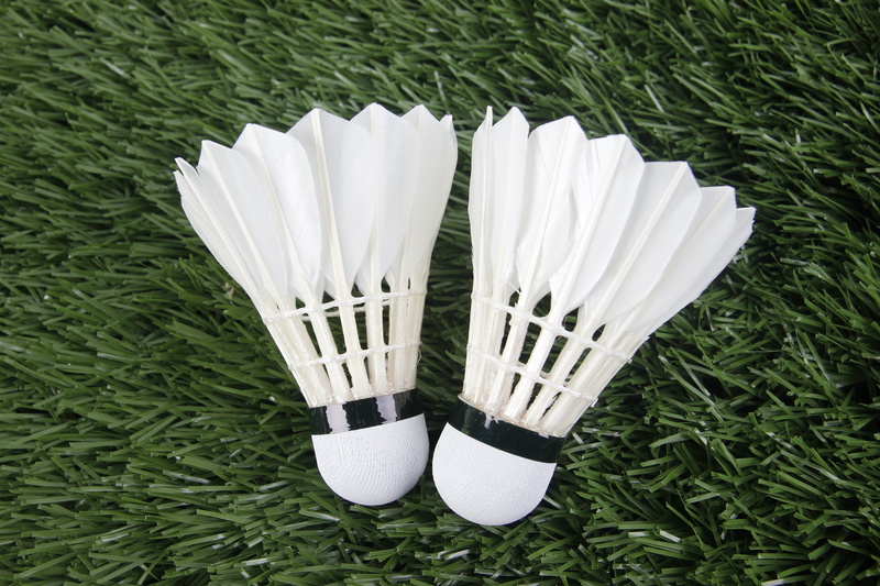 day, growth, two objects, plant, shoe, badminton, directly above, leisure activity, no people, high angle view, standing, grass, low section, close-up