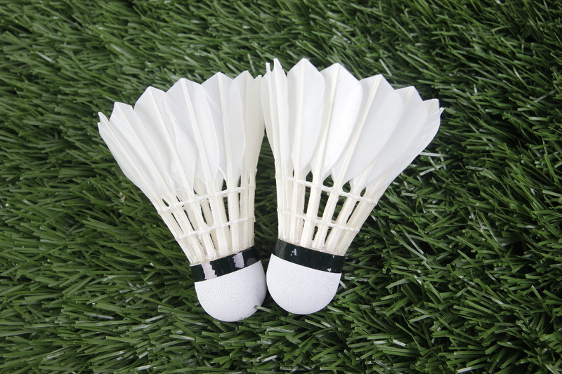 shoe, growth, high angle view, green color, Shuttlecock, field, land, day, outdoors, grass, directly above, no people, white, beauty in nature, standing