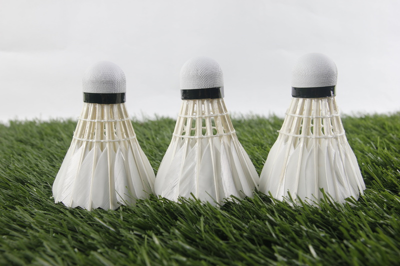 side by side, land, 5K, absence, contrasts, hat, in a row, sport, grass, badminton, nature, no people, two objects, outdoors, shuttlecock, focus on foreground