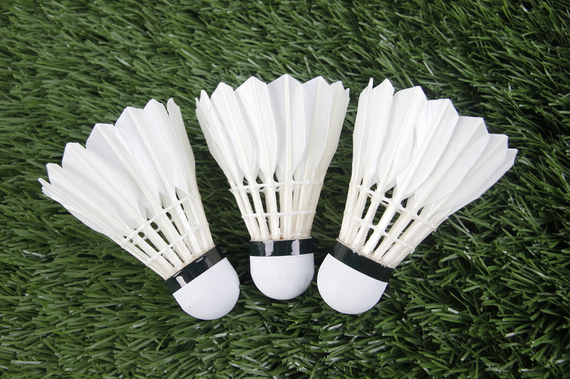 absence, high angle view, field, 5K, growth, white color, front or back yard, badminton, still life, green color, outdoors, shuttlecock, white, land, close-up