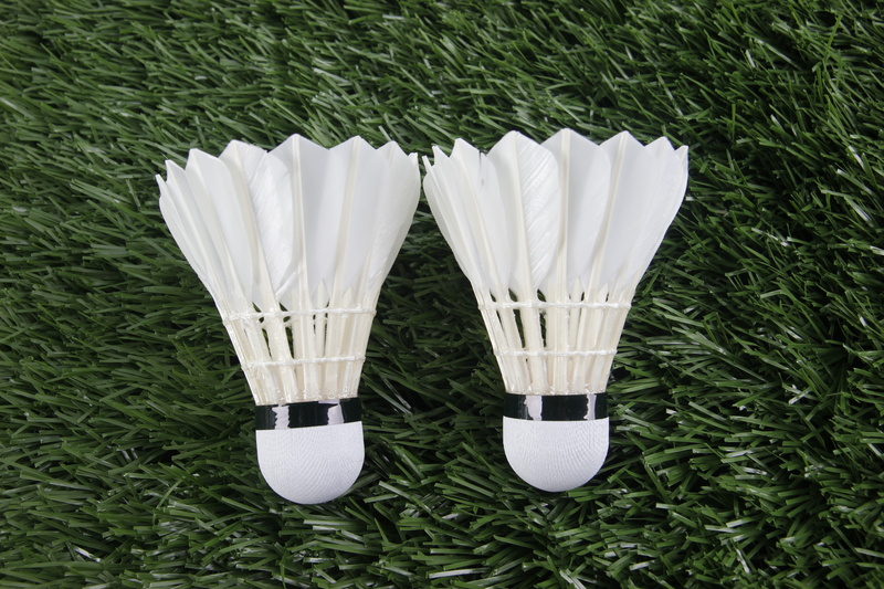 wood - material, high angle view, field, green color, growth, day, compatibility, grass, Shuttlecock, shoe, 5K, close-up, no people, white, Sport, Badminton