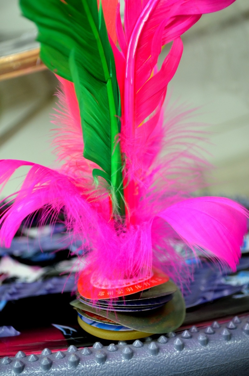costume, leaf, table, arts culture and entertainment, no people, selective focus, kick, 1080P, weighted, sports, multi Colored, plant, purple, jianzi