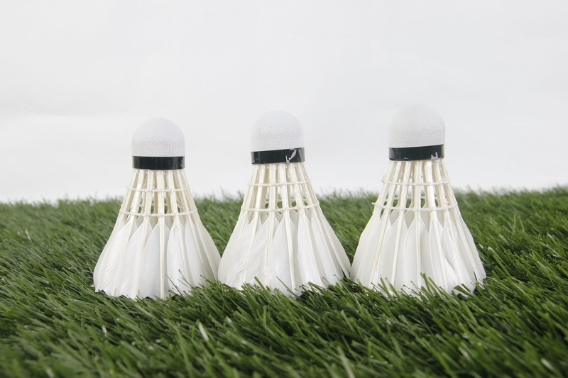 copy space, sport, cloud - sky, field, sky, two objects, wedding, side by side, 5K, white color, day, Badminton, shuttlecock, environment, event, plant