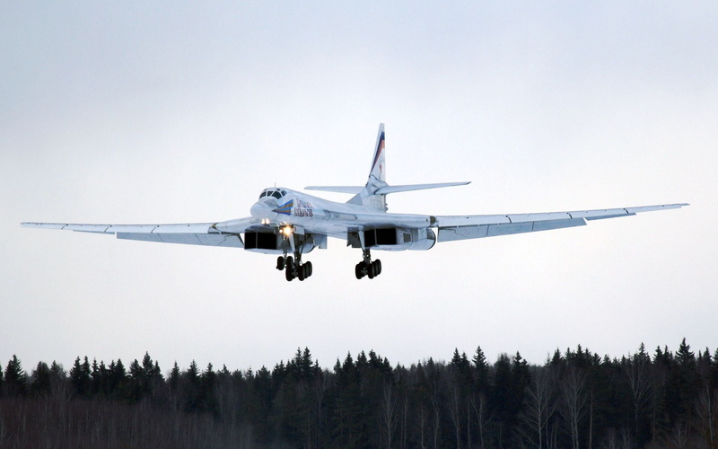 travel, tree, plant, landing - touching down, mid-air, nature, motion, sky, commercial airplane, on the move, tupolev tu 160, mode of transportation, air vehicle