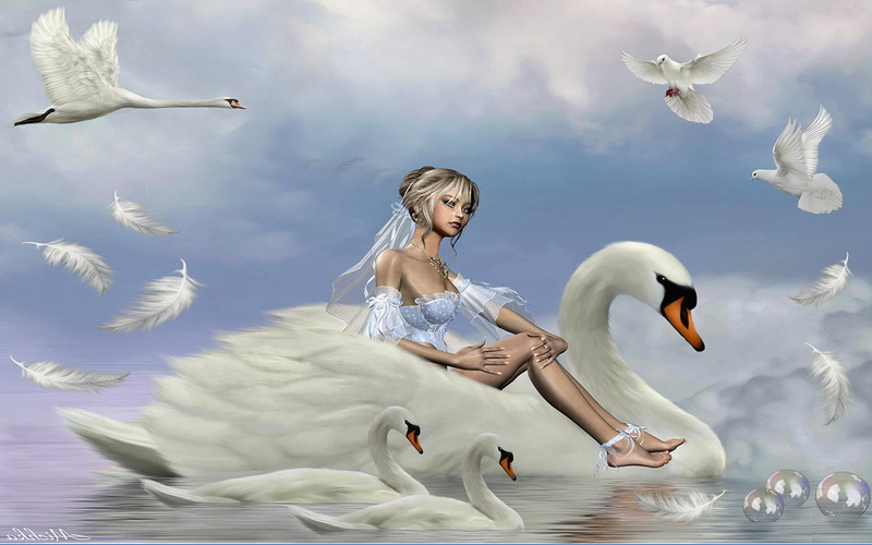 animal themes, girl, desktop, sky, spread wings, flock of birds, hd, cloud - sky, mid-air, pigeons, animal wildlife, riding, swan, accompanied, seagull