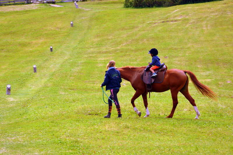 domestic animals, grass, pets, outdoors, real people, herbivorous, field, plant, nature, activity, men, accompany, child, horse racing, instructor, riding