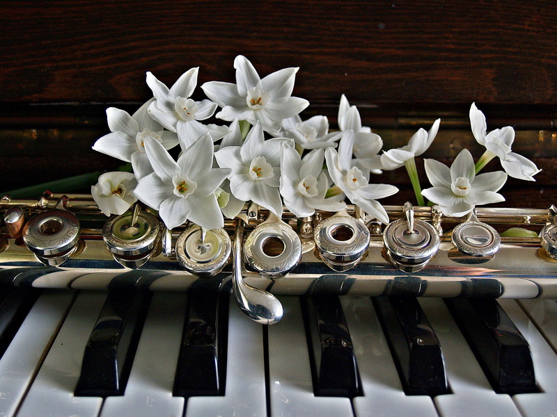 still life, nature, petal, open hole, arrangement, instrument, accompany, close-up, no people, plant, pe, keyboard, fragility, black, musicians, flute