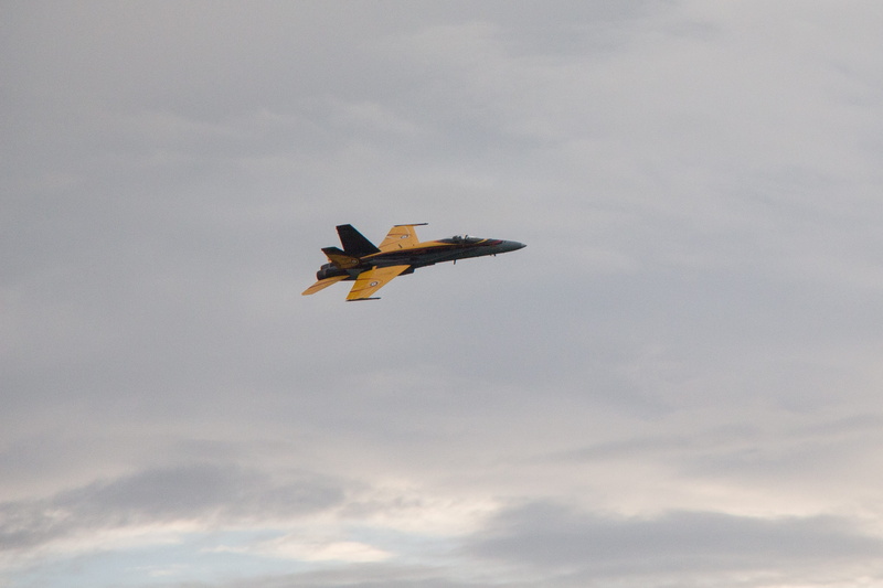 one animal, adventure, speed, canada, day, power, f-18, yellow, metal, spread wings, aviation, symbol, air, airplane, white, plane, animals in the wild