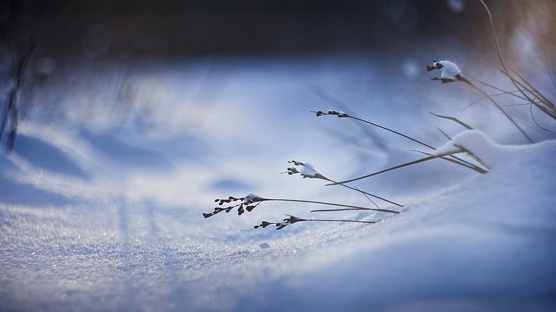 clear, aircraft, travel, 1080P, outdoor, twig, no people, sunlight, sun, cloudy, cloud, sky, water, nature, day, scenic, close-up, sunny, overcast, outdoors
