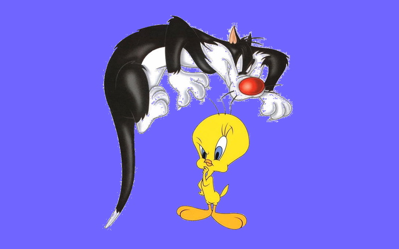 hd, cat, sylvester, 1080P, bad, cartoon, good, chicken, tweety