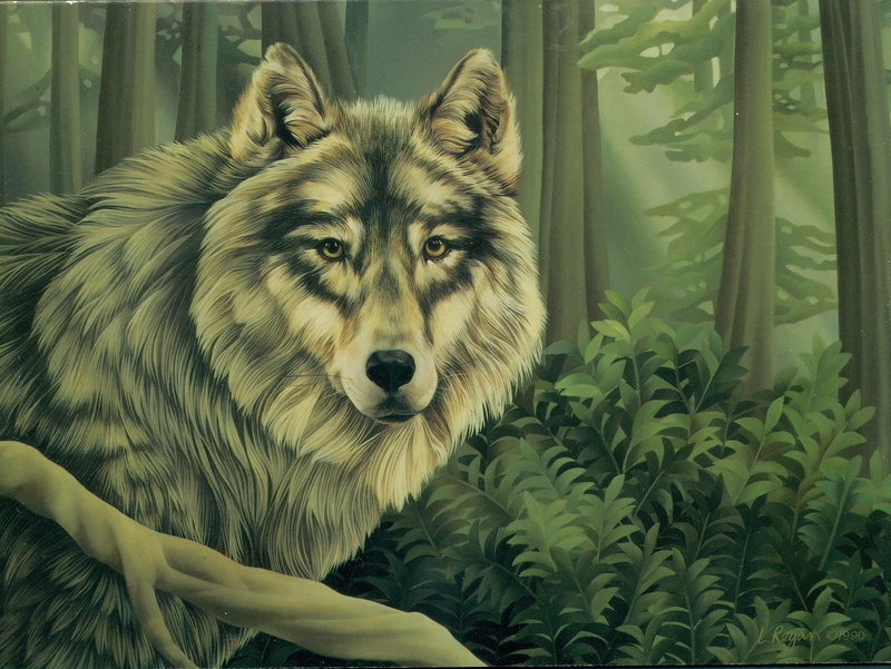 painting, beauty, 1080P, wolf, animals, grey