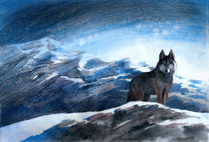 Block color, grey wolf, mountains, Illustrations of Aitmatov, Aibek Begalin, blue eyes, 2K, winter